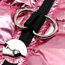 Waterproof Dog Jacket for Small Breeds #4