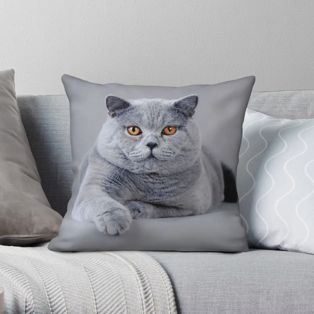 British Shorthair Cat Portrait Square Pillowcase Polyester Linen Velvet Pattern Zip Decorative Car Cushion Case