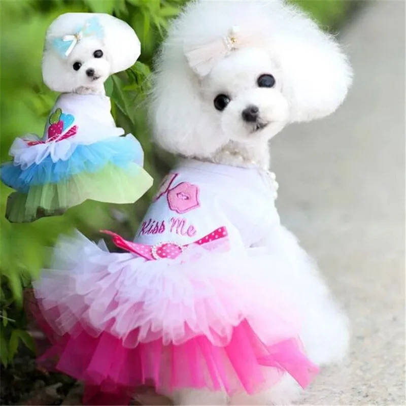 Anjing Merah Muda Pakaian Sweety Princess Dress untuk Anjing Kecil Musim Semi Musim Gugur Musim Panas Anak Anjing Renda Putri Gaun Anjing Chihuahua Rok