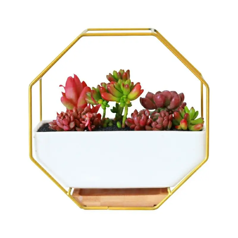 

Simple Metal Iron Rack White Ceramic Succulent Planter Pot Octagonal Geometric Wall Hanging Ceramic Flower Pot Bamboo Tray