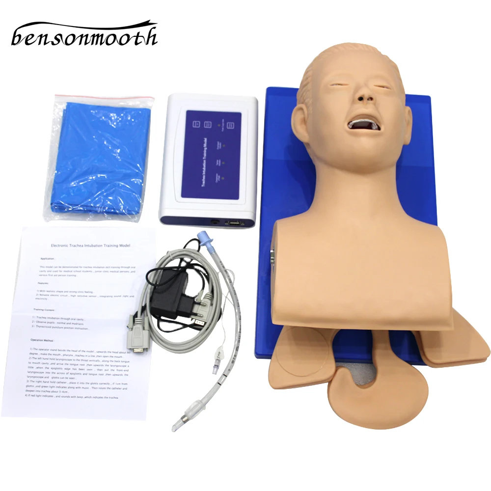 Intubation Manikin Study Teaching Model Airway Management Trainer PVC With Teeth