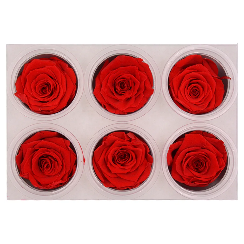 Immortal Dried Flower Preservation Rose Flower Head Christmas fFactory Direct Sales A-level 5-6cm Wedding Diy Gift Box Shooting