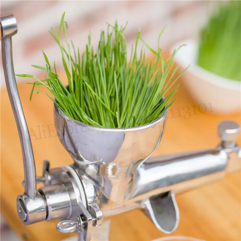 Stainless Steel Wheat Grass Juicer Manual Wheatgrass Fruit Juice Extractor Leafy Vegetables Squeezer With Hand Crank Brand New