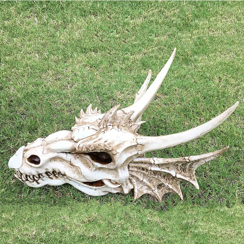 Fossil Statue of Erathia Dragon Elder Skull Fossil Statue for Medieval Dragon Age Fans Game of Thrones Dungeon and Dragon lovers