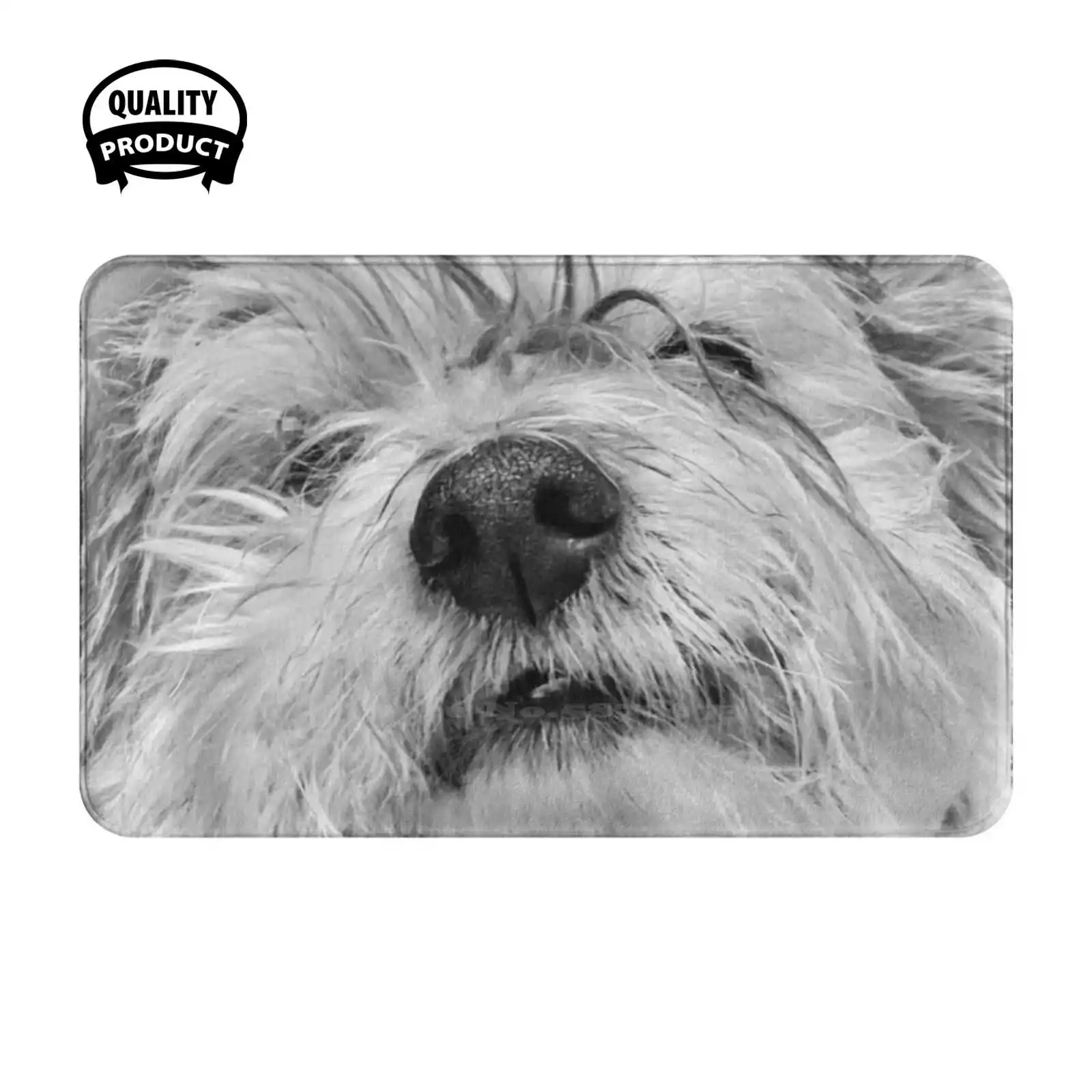 Coton De Tulear Dog Soft Cushion Home Carpet Door Mat Car Rug Canine Coton De Tulear Purebred Funny Furry High Key Cute