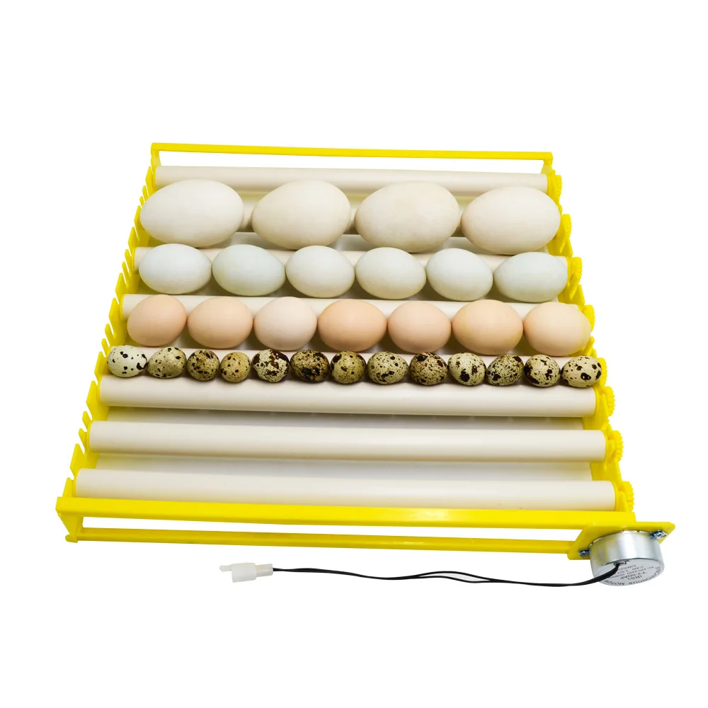 360 Degree Automatic Rotary Egg Turning Roller Tray Duck Quail Bird Poultry Egg Hatching Incubator Farm Incubation Tool 220V