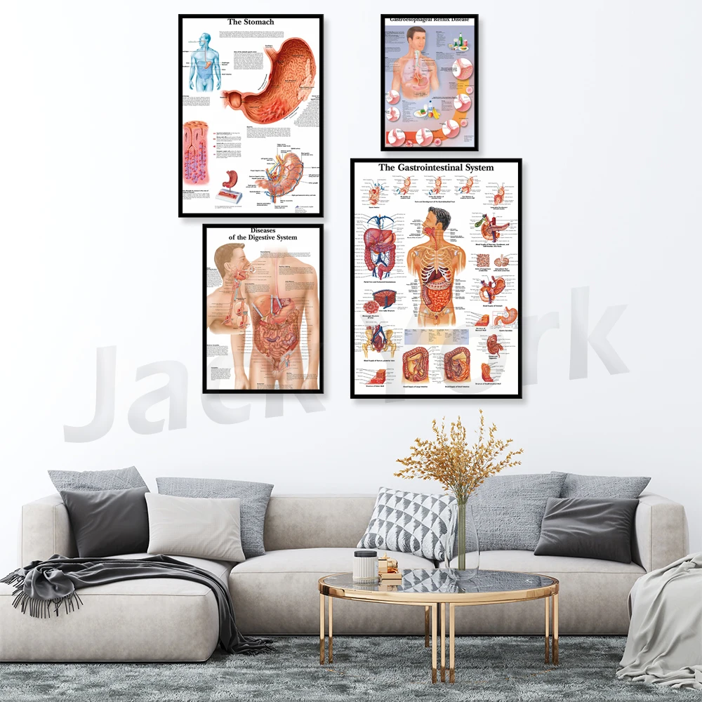 

Digestive System diagram Art Poster Print Body Map Canvas Painting Wall Pictures for Medical Education Home Decor