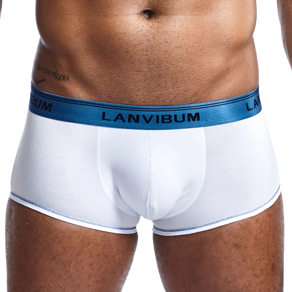 Men Underwear Comfortable Shorts Sexy Fit Underpants For Man Soft Breathable Boxers Ropa Interior Hombre