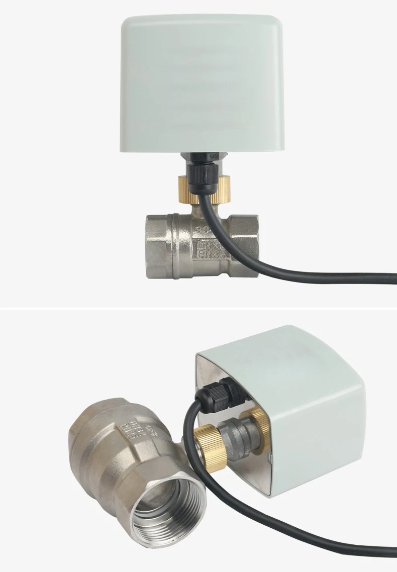 1/2" 3/4" 1" 2" Edelstahl-Motorventil 220V 12V 24V 3-Draht 2-Wege Elektrisches Kugelventil mit großem Drehmoment – Detail 2