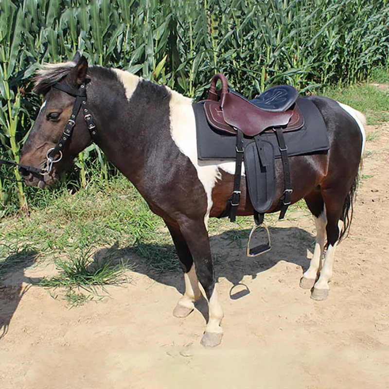 Sella Set completo Sella da equitazione in pelle di nuovo stile Sella da cavallo grande e piccola Forniture equestri