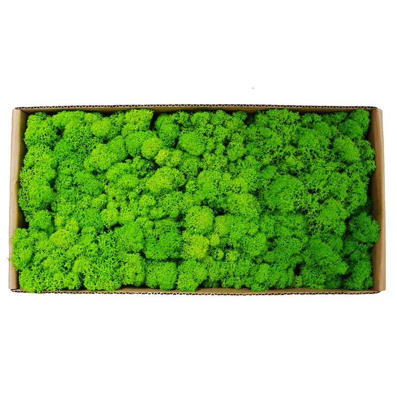 

500g Artificial Moss Eternal Life Moss For Garden Shop Home Wall DIY Decoration Fake Plant Mini Garden Landscape Accessories