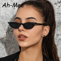 Small Cat Eye Sunglasses Women Brand Designer Vintage Rivet Narrow Triangle Sun Glasses Female Black Shades Streetwear Eyewear