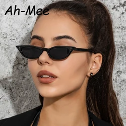 Small Cat Eye Sunglasses Women Brand Designer Vintage Rivet Narrow Triangle Sun Glasses Female Black Shades Streetwear Eyewear