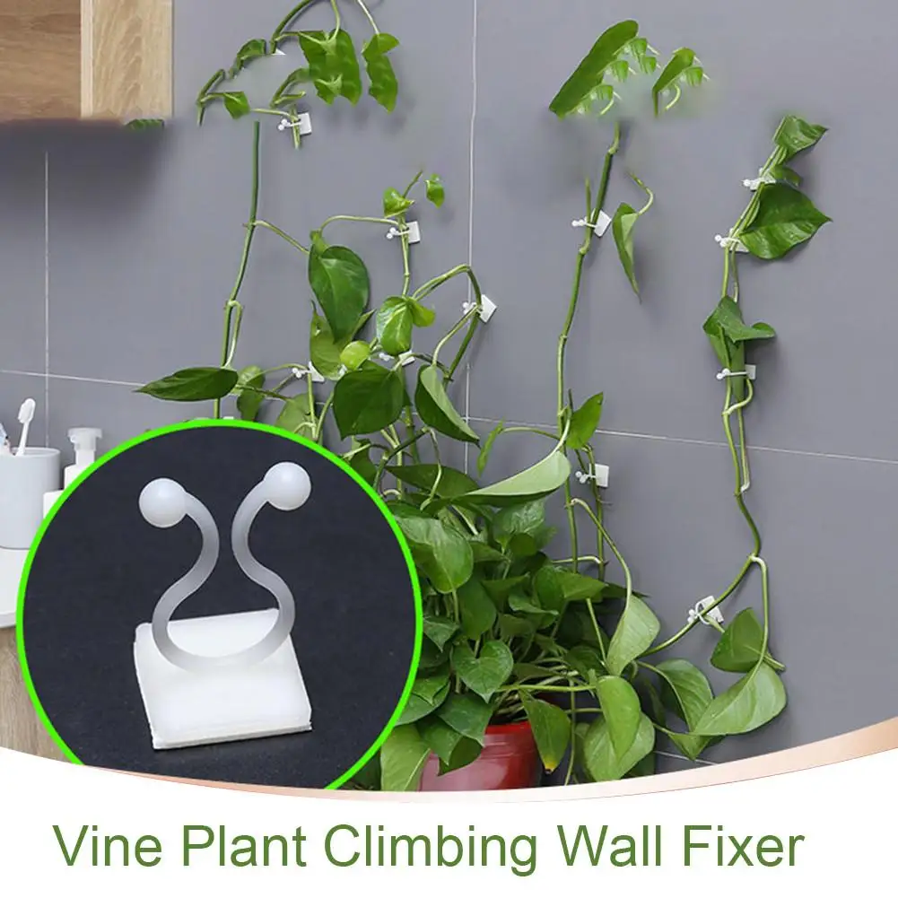 100PCS Garden Vegetable Plant Support Binding Clip Vine Plant Climbing Wall Fixer Non-marking Self-adhesive Hook Organize Vine