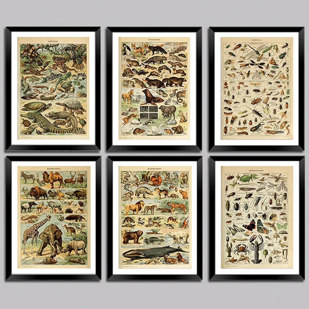 Vintage Adolphe Millot Poster Ensiklopedia Cetakan Mamalia Reptil Serangga Lukisan Kanvas Gambar Seni Dinding Dekorasi Rumah Cuadros