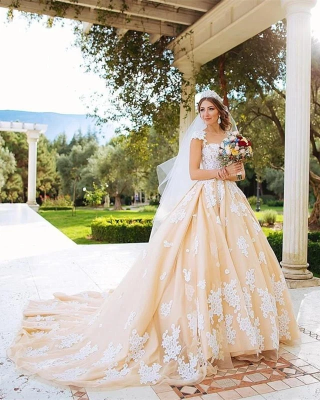 Vestido de novia de encaje con espalda abierta, traje Sexy de boda, con apliques de encaje, color champán, romántico