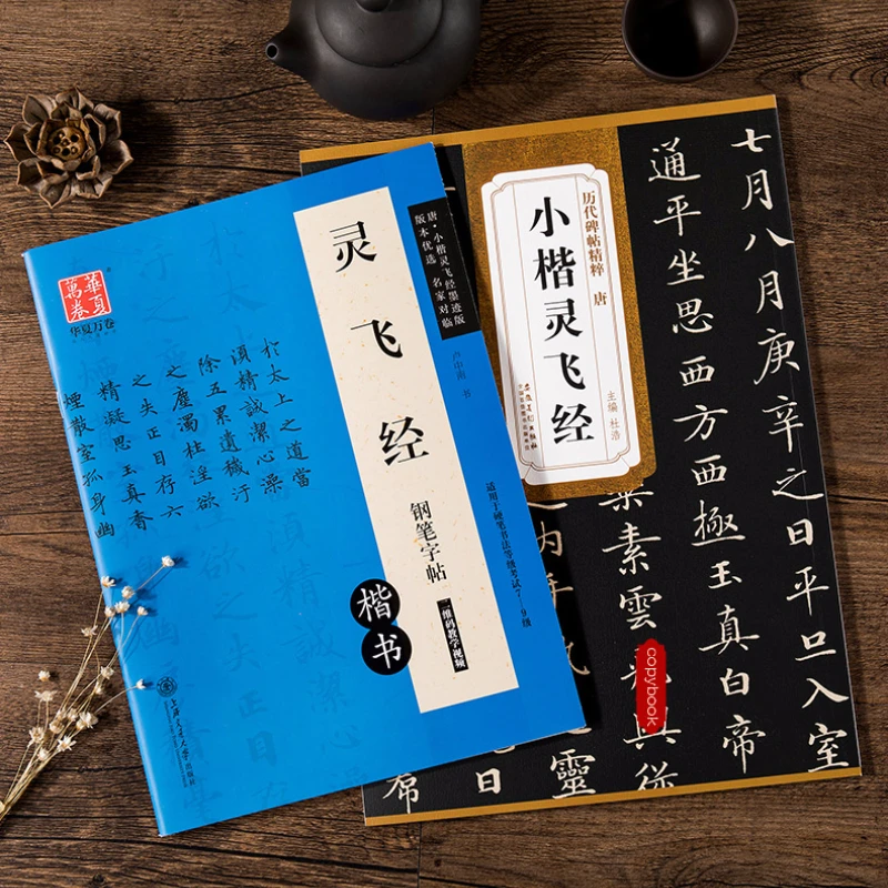 

2pcs Small Regular Script Calligraphie Copybook Set Chinese Ling Fei Jing Brush Pen Hard Pen Copybook Simplified Annotation Book