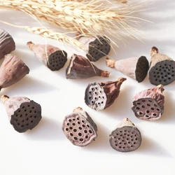 5pcs/Bag Mini Natural Dried Lotus Flowers Office Decoration Flower Arrangement Home Party Decor Photo Prop Photography Shoots