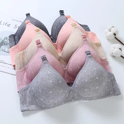 5 Colors bralette cotton soft cotton bra hot daughter young girl students sexy Lace Bralette tops wire free lingerie push up C09