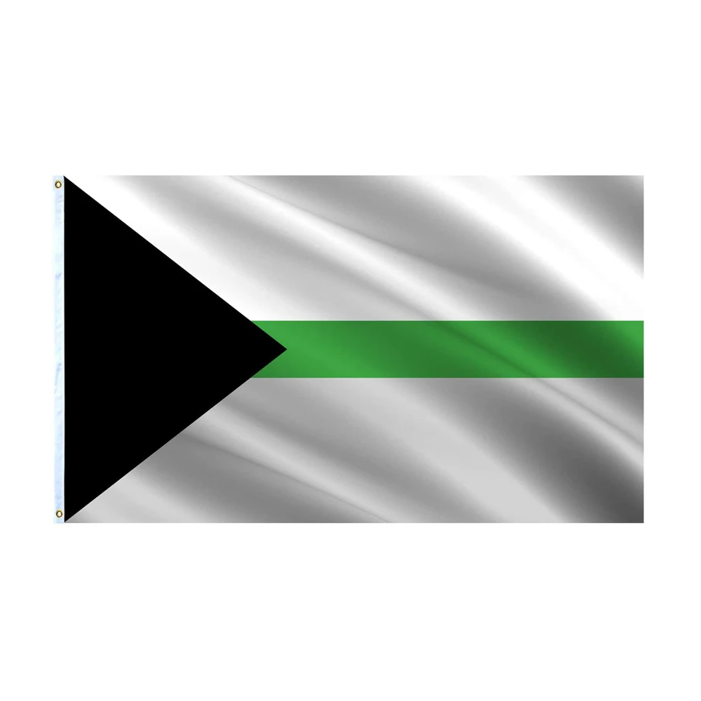 Demiromantic Pride Flag Gray Demi Romantic 3x5 Ft Demisexual LGBTQ Rainbow Banner