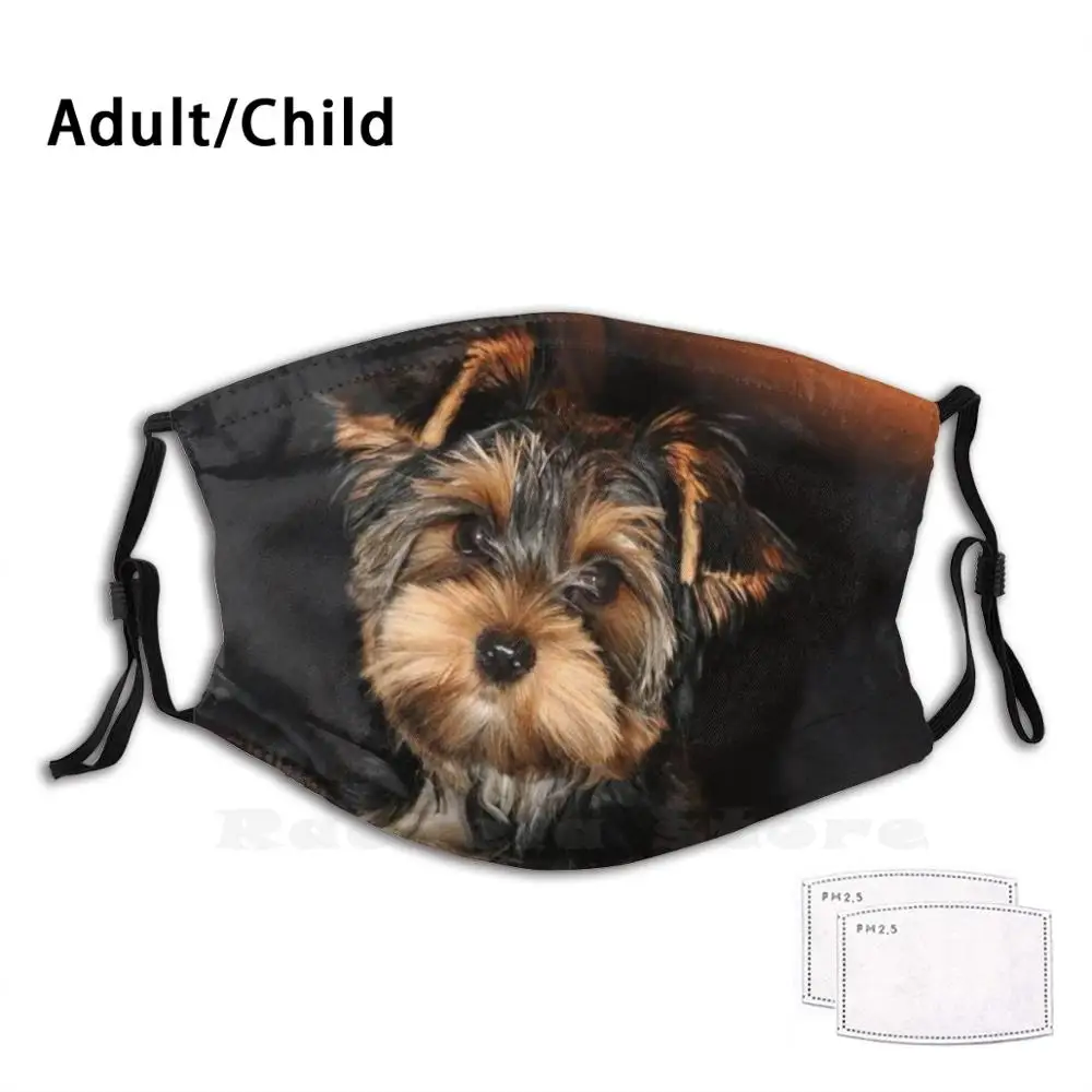 

Cute Yorkshire Terrier Dog Funny Print Reusable Pm2.62 Filter Face Mask Yorkshire Terrier Yorkie Dog Pet Toy Breed Teddy Bear