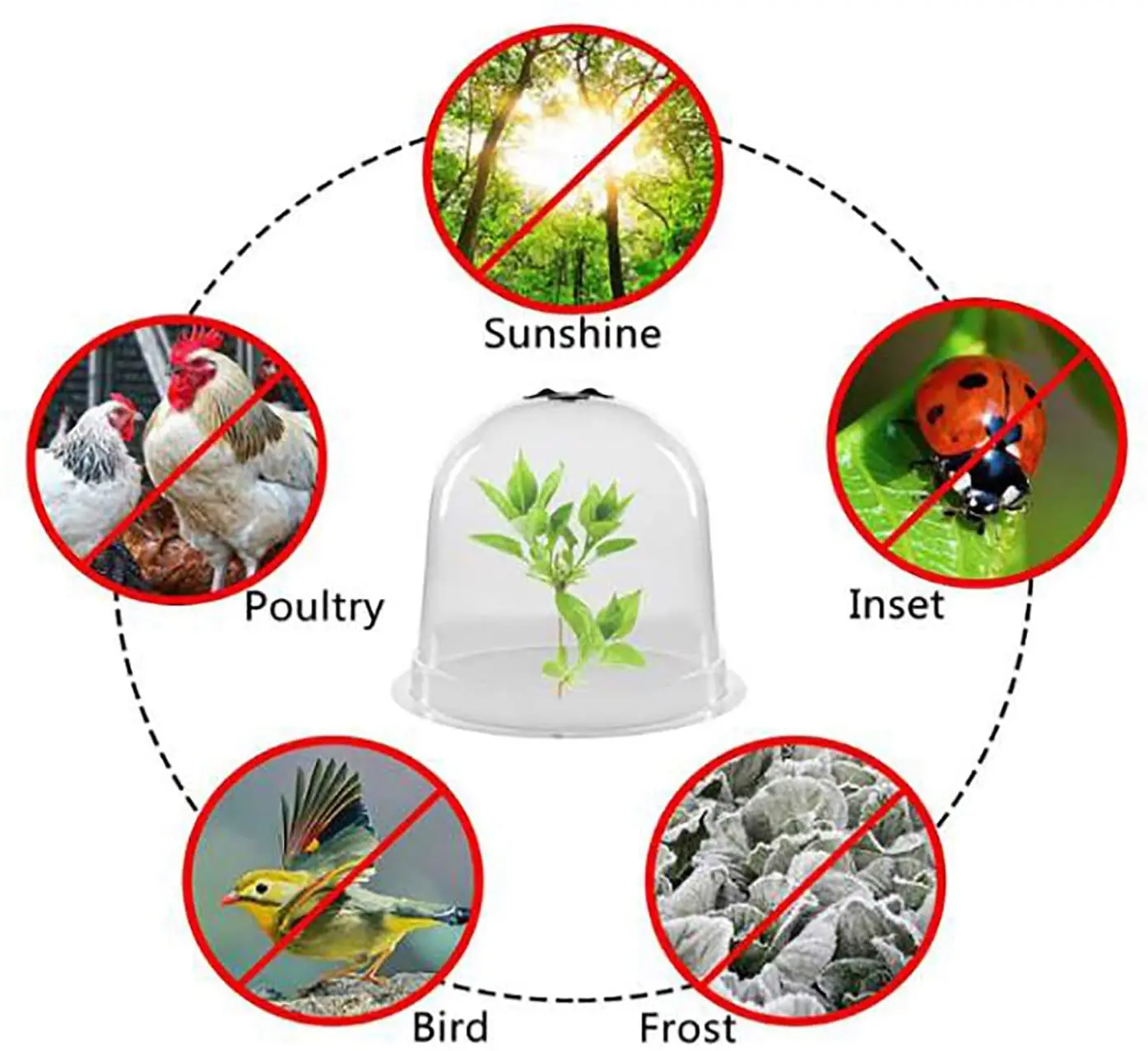 6Pcs/Set 10in Garden Dome Plant Covers Reusable Plastic Greenhouse Garden Cloche Dome Plant Covers Frost Guard Freeze Protection