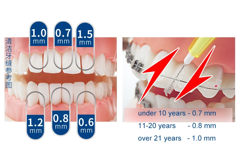 10 pces push-pull escova interdental, adultos reutilizáveis escova interdental limpa entre os dentes fio dental ferramenta de cuidados orais