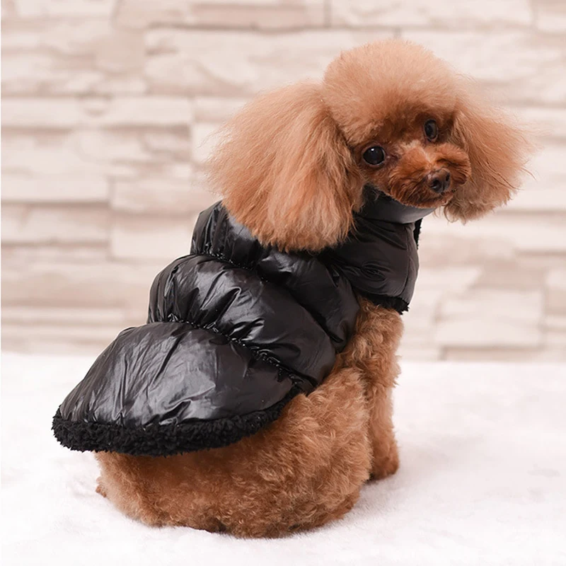 Winter Clothes for Dogs Clothing Warm Vest Dog Clothes for Small Large Dogs Coat Down Jacket Waterproof Keep Warm Pet Clothes