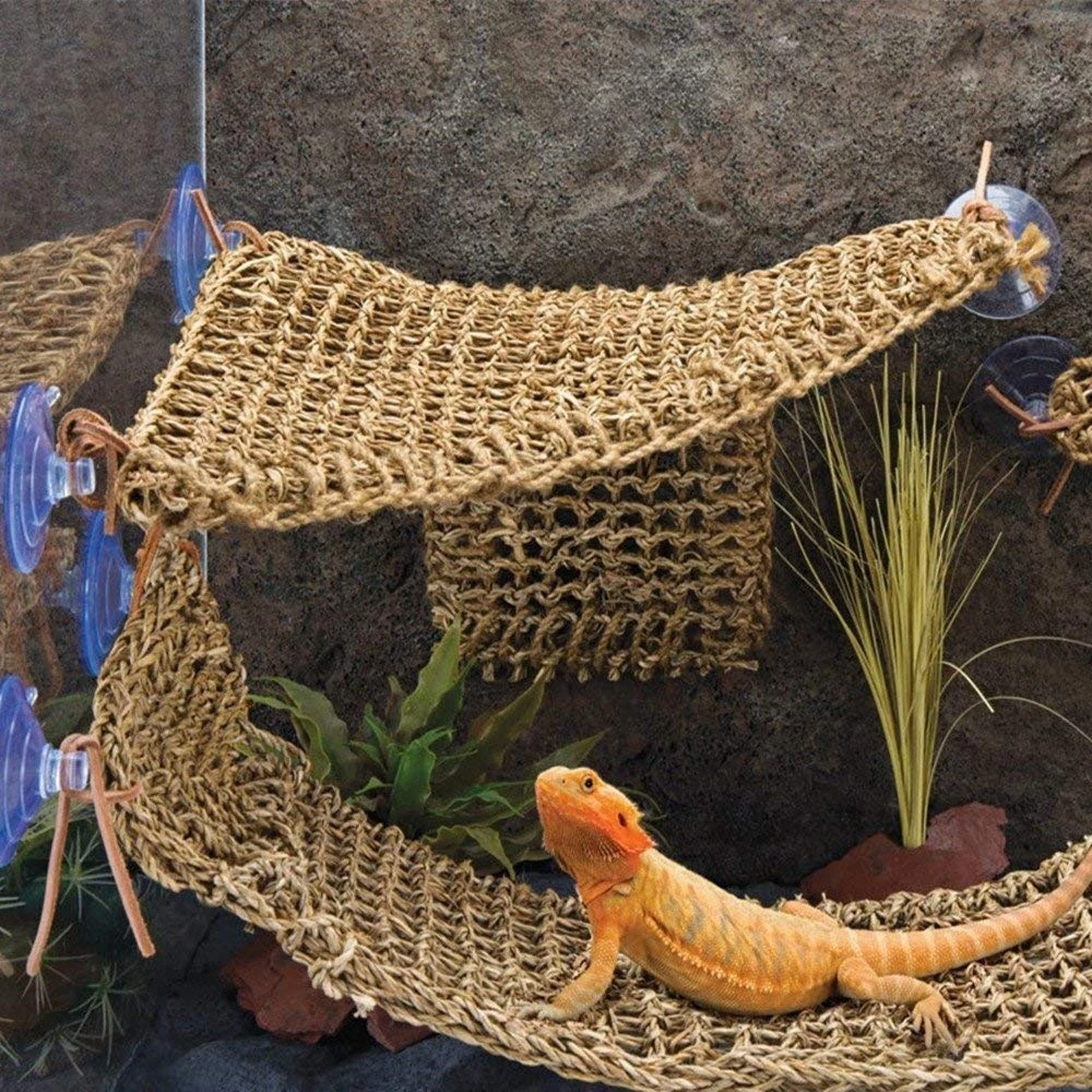 Natural Grass Fiber Lizard Hammock Pet Sleeping Bed Iguana Crab Gecko Reptile Toy Amphibian Supplies Feeding Box Decoration