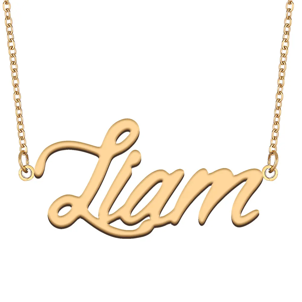 

Liam Name Necklace for Women Stainless Steel Jewelry Gold Plated Nameplate Pendant Femme Mothers Girlfriend Gift