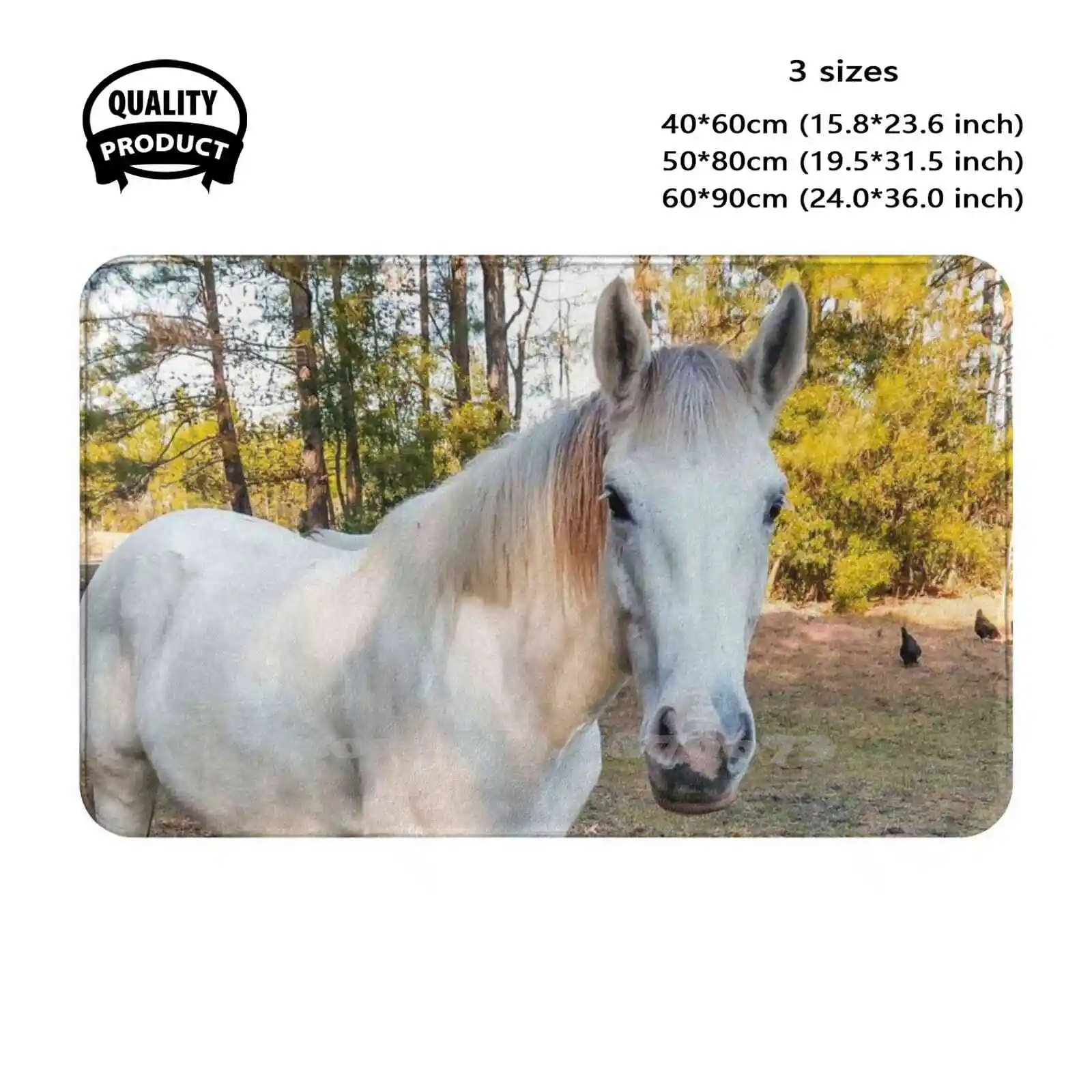 Apache Horse Worrier Soft Cushion Home Carpet Door Mat Car Rug White Horse Appaloosa Horse Apache Horse Indian Horse White