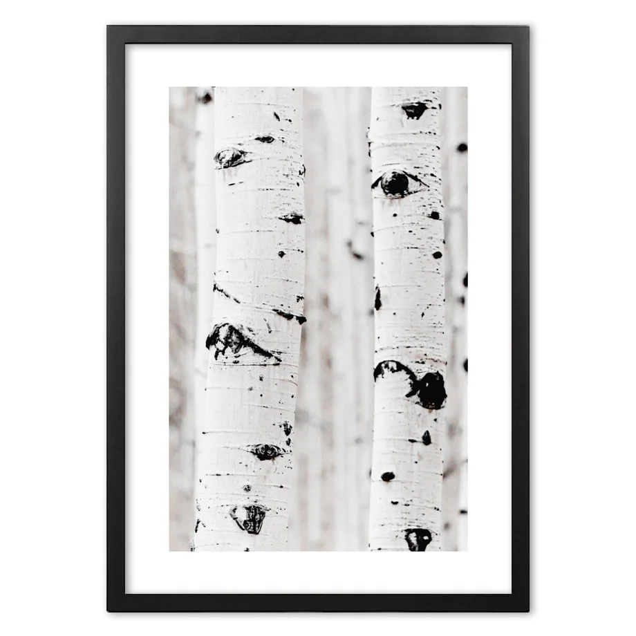 

Birch forest Wall Art Print Paper Painting Nordic Posters And Prints Wall Pictures For Living Room Decor