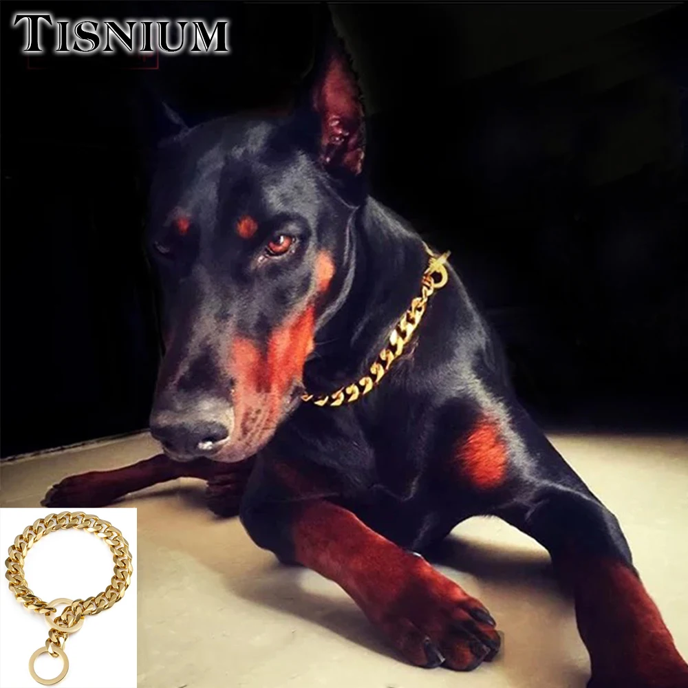 

Tisnium 19mm Luxury Dog Leash Collar Choker Small Medium Large Dog Chokers Gold Color Stainless Steel Pet Accessories Wholesale