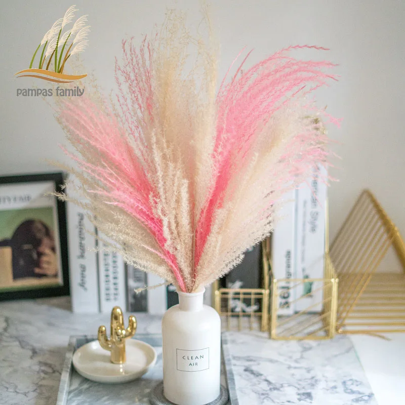 pampas grass decor white pink color Wedding flowers natural plants dried flowers bouquet fluffy home decor free shipping