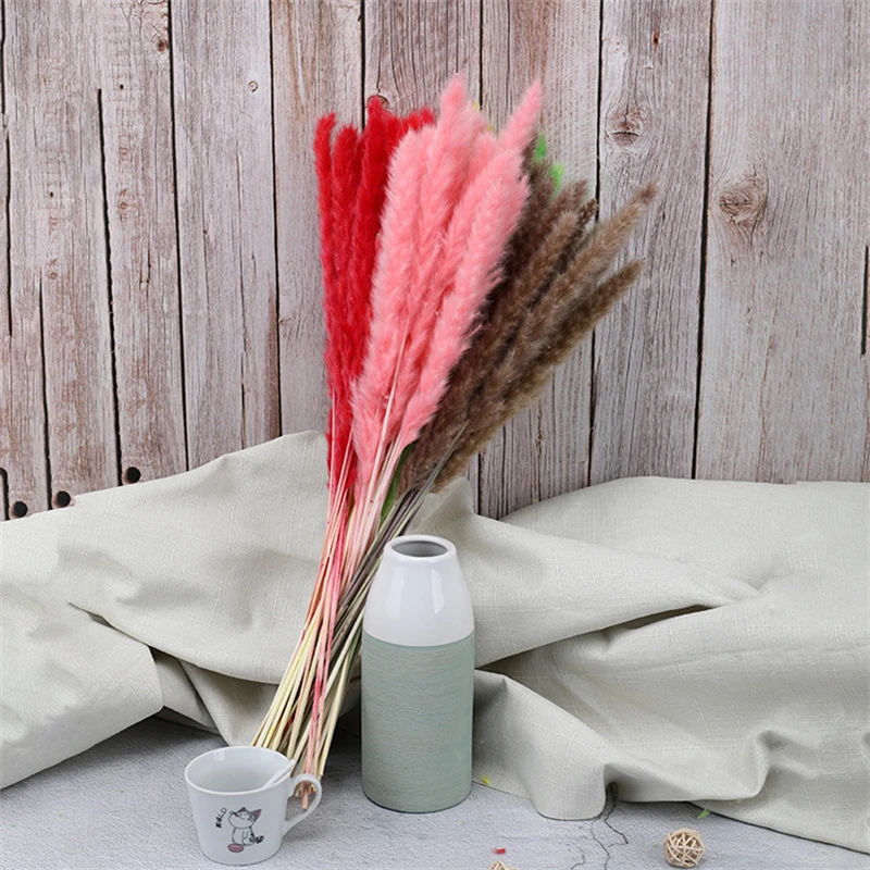 30PCS Dekoration Real Plants Dried Flower Natural Pampas Grass Reed Small Bulrush Bouquet Reeds Home Decor Decoration Wedding