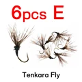 6PCS E