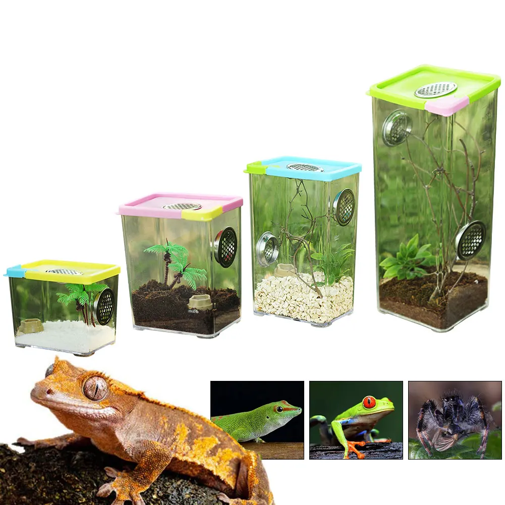 Reptile Breeding Box Clear Acrylic Reptile Terrarium Feeding Insect Box Insect Reptile Cage for Spider Scorpion