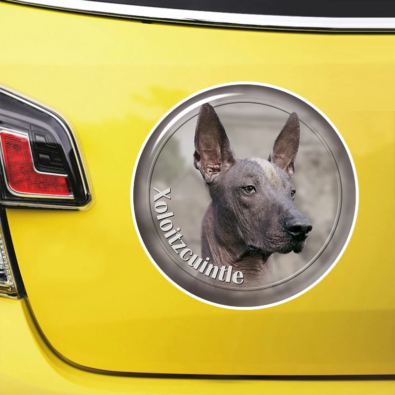 

Xoloitzcuintle Self-adhesive Decal Car Sticker Waterproof Auto Decors on Bumper Rear Window Laptop Choose Size #S60943