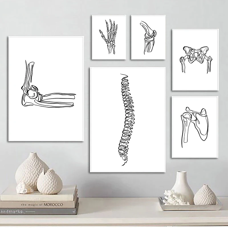 Line Drawing Human Anatomy Skeleton Spine Wall Art Canvas Painting Nordic Posters and Prints Medical Wall Pictures Office Decor