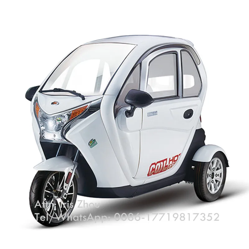 2500W Adult Tricycle 3 Wheel Electric Car Fully Enclosed High Speed Transport Vehicle Old People Mobility Scooter Free Shipping