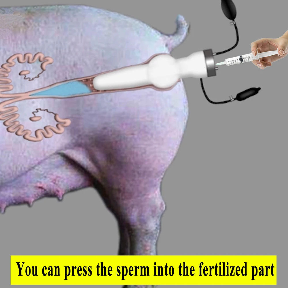 

New Design Artificial Insemination Kit Sperm Injection Pressurizer For Pig Sheep Pet Canine Semen Deposition Veterinary Farming