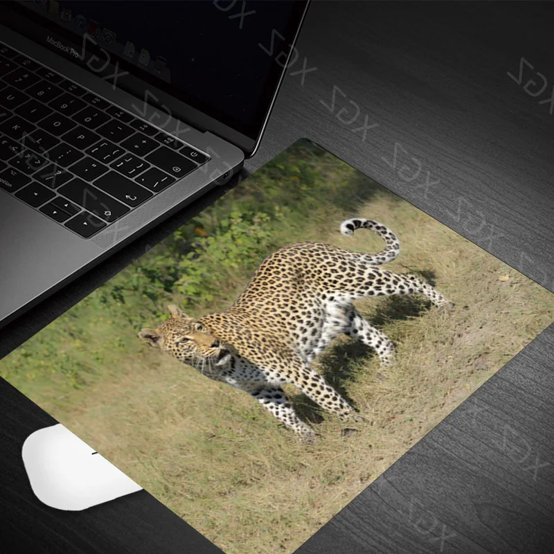 Yzuoan-mousepad com estampa de leopardo para computador, tamanho pequeno, resistente a sujeira, 180x220mm, para teclado gamer