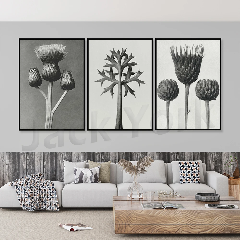 Karl Blossfeldt Poster, Downloadable Art Print, Instant Download
