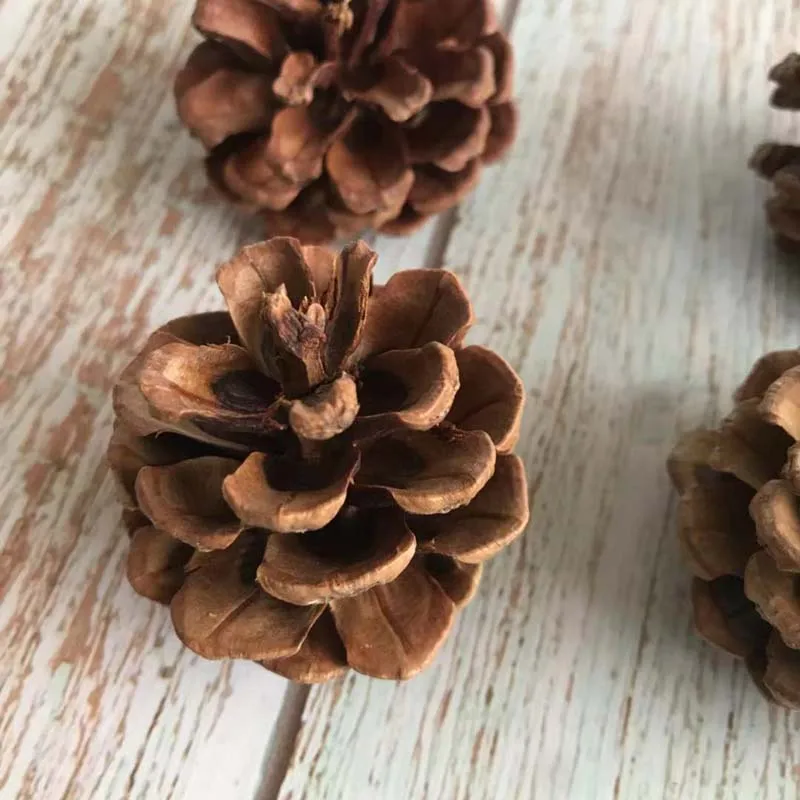 Natural Dried Flowers Decorative Pinecone,Mini Pine Flower,Real Dry Flower DIY For Christmas Ornaments,Wedding Decorations,Home