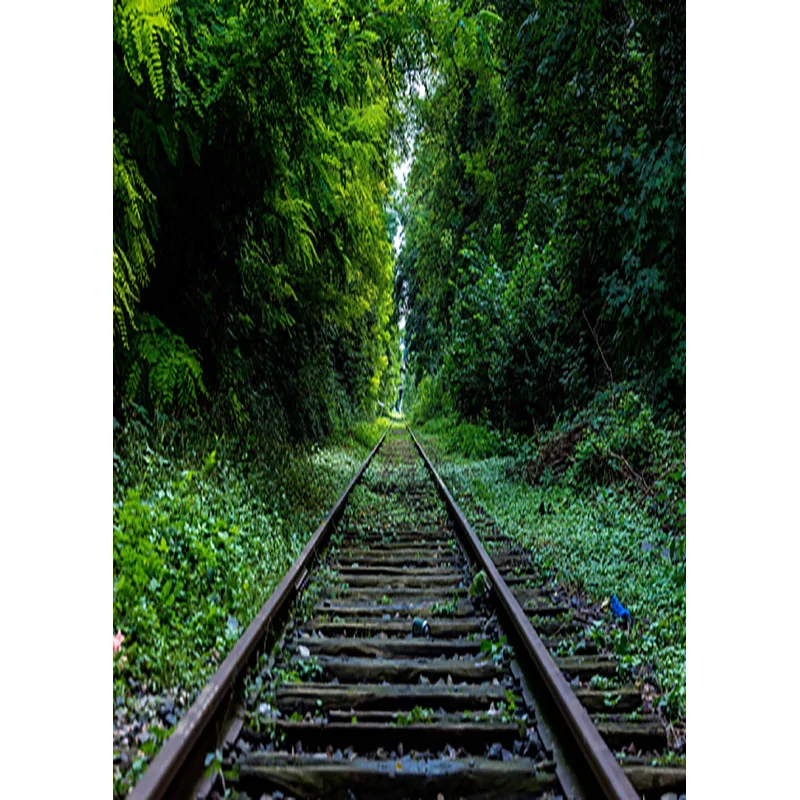ZHISUXI Rainforest Green Forest Photography Background Natural Scenery Backdrops For Photo Studio Props 1911CXZM-49