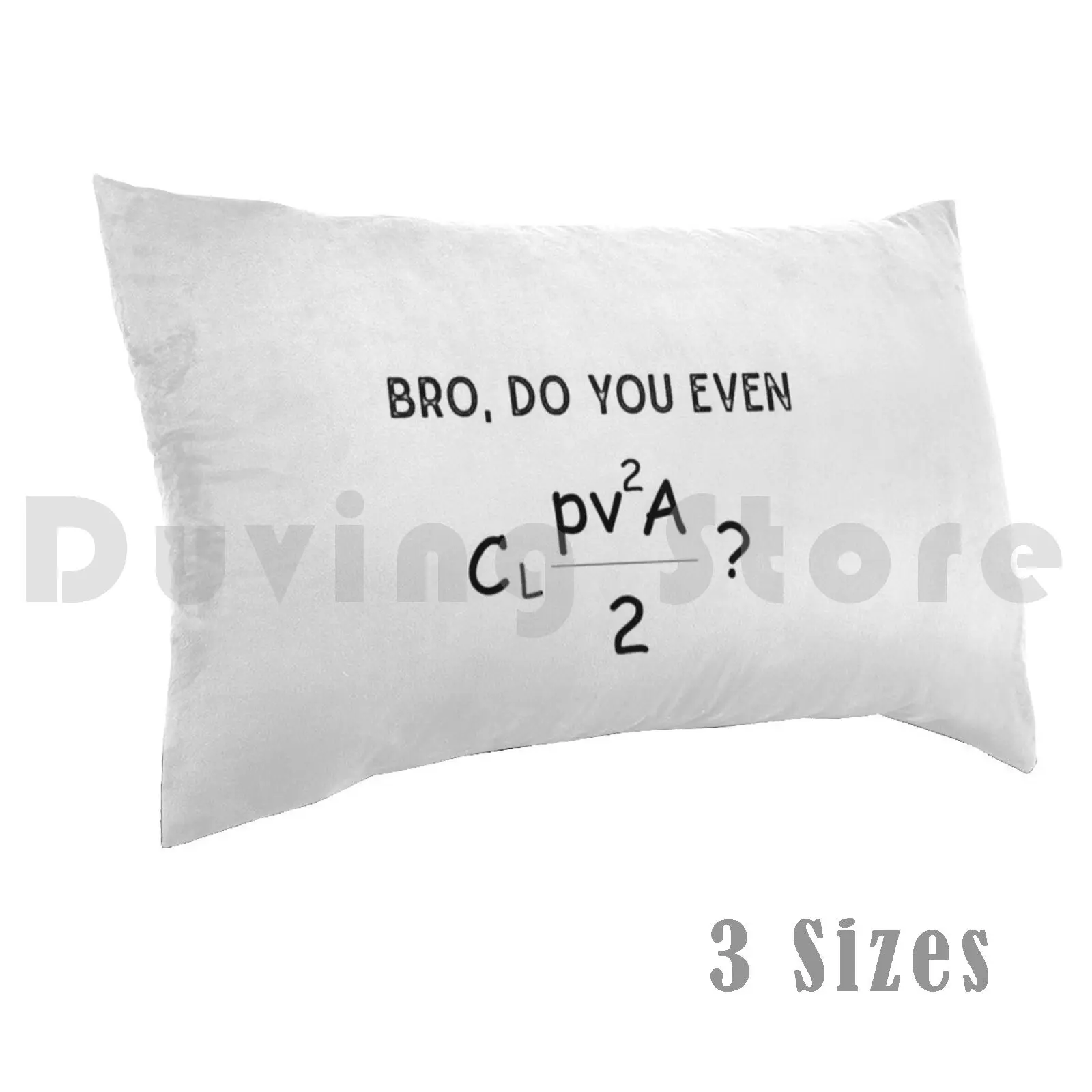 Funny Equation Pillow Case DIY 50*70 Formula Hg Physics Aerodynamics Laminar Turbulent Flow Equation