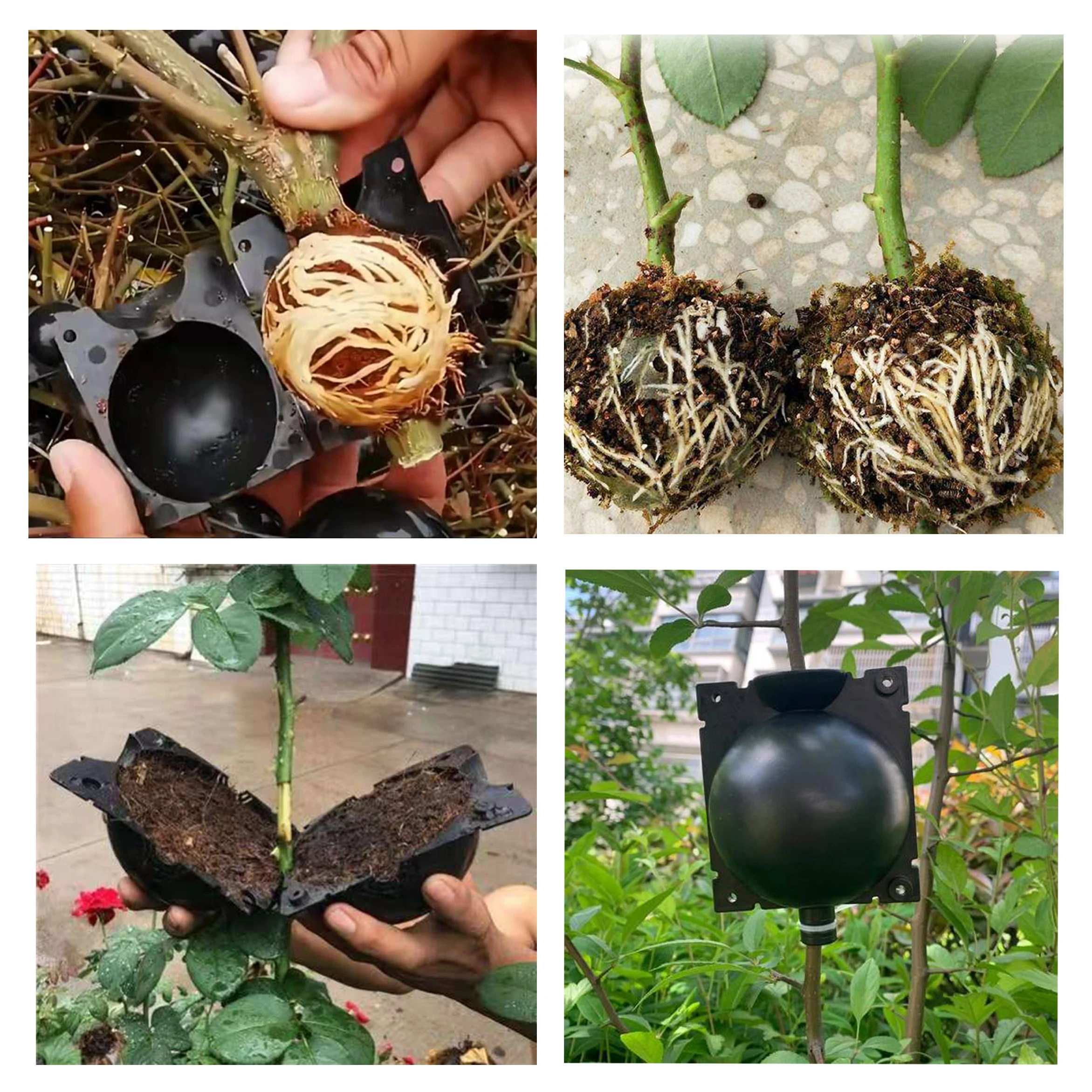 Plant Wroeten Box Kit Wroeten Voortplanting Bal Enten Fokken Stekken Boompje Kwekerij Benodigdheden Tuin Boomgaard Tuingereedschap