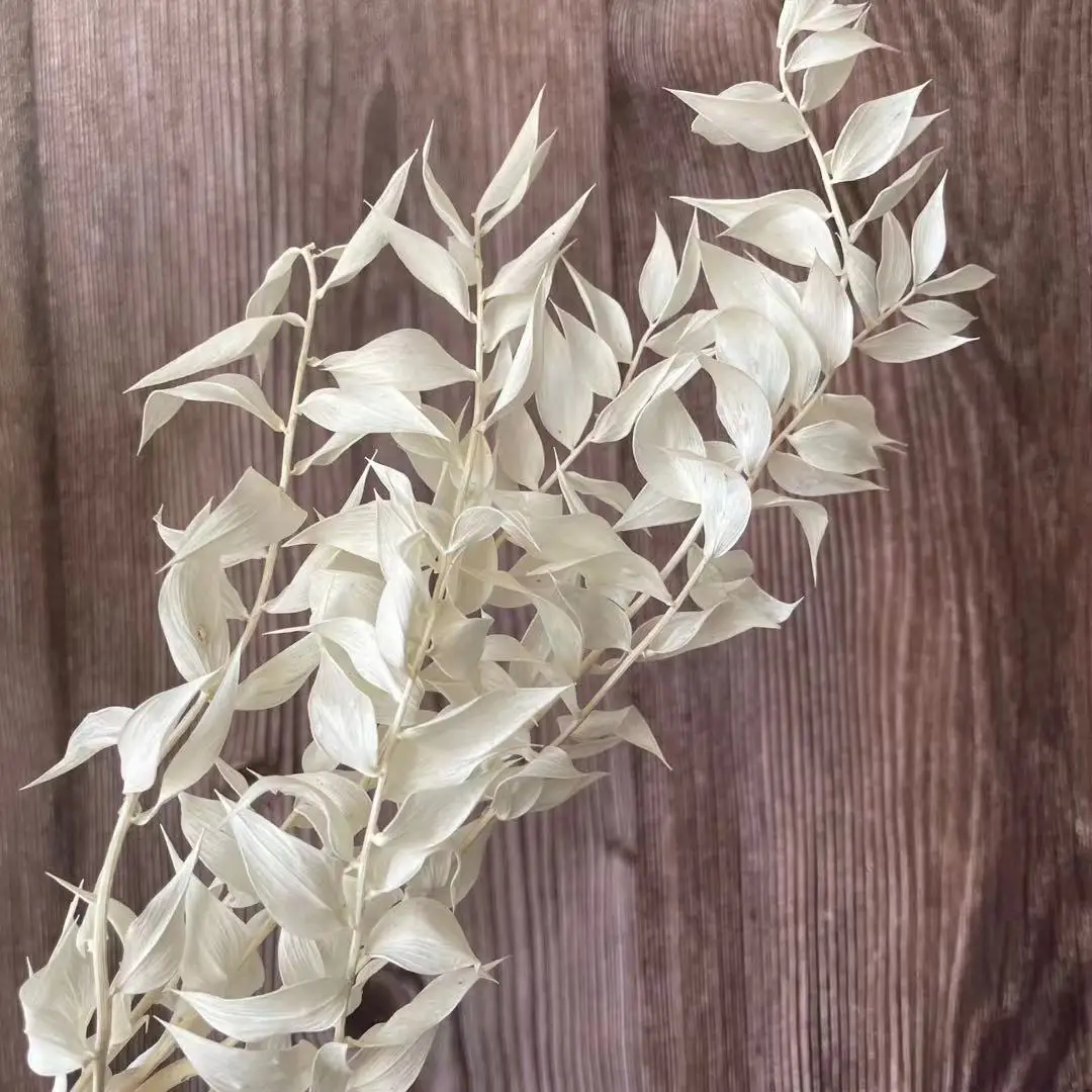 30g/35-45CM Decorative Dried Natural Ruscus Leaves Branch,Real Dry Rich And Valuable Flowers Bouquet For Home Decor,Wedding