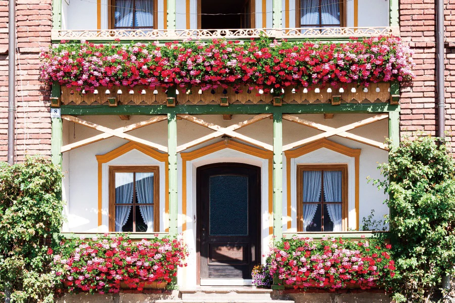 ريفي البيت القديم الريف الربيع الكرمة نافذة الشرفة ديكور حفلة مشهد التصوير خلفية للصور خلفية الصورة استوديو