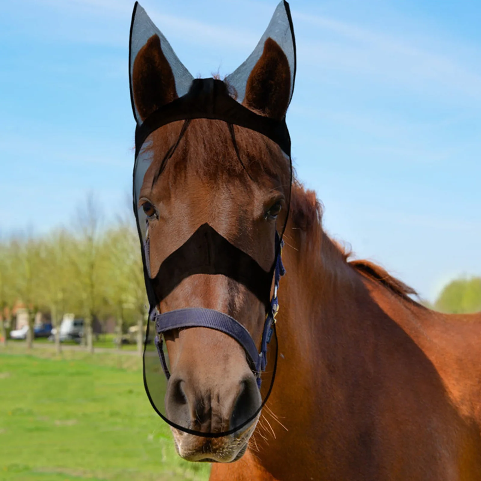 HORSE MASK Horse Head Mask Mosquitoes Flies Transparent Horse Head Donkey Mask Equestrian Mask